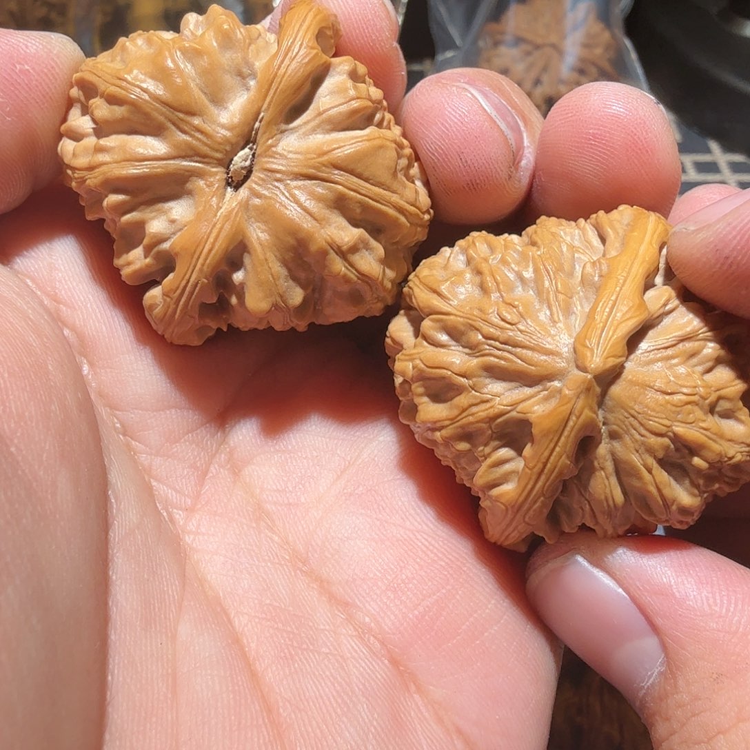 文玩核桃把件三角白