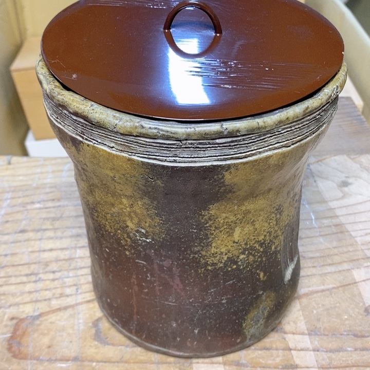 不哈哈不会给宝宝v把v宝贝