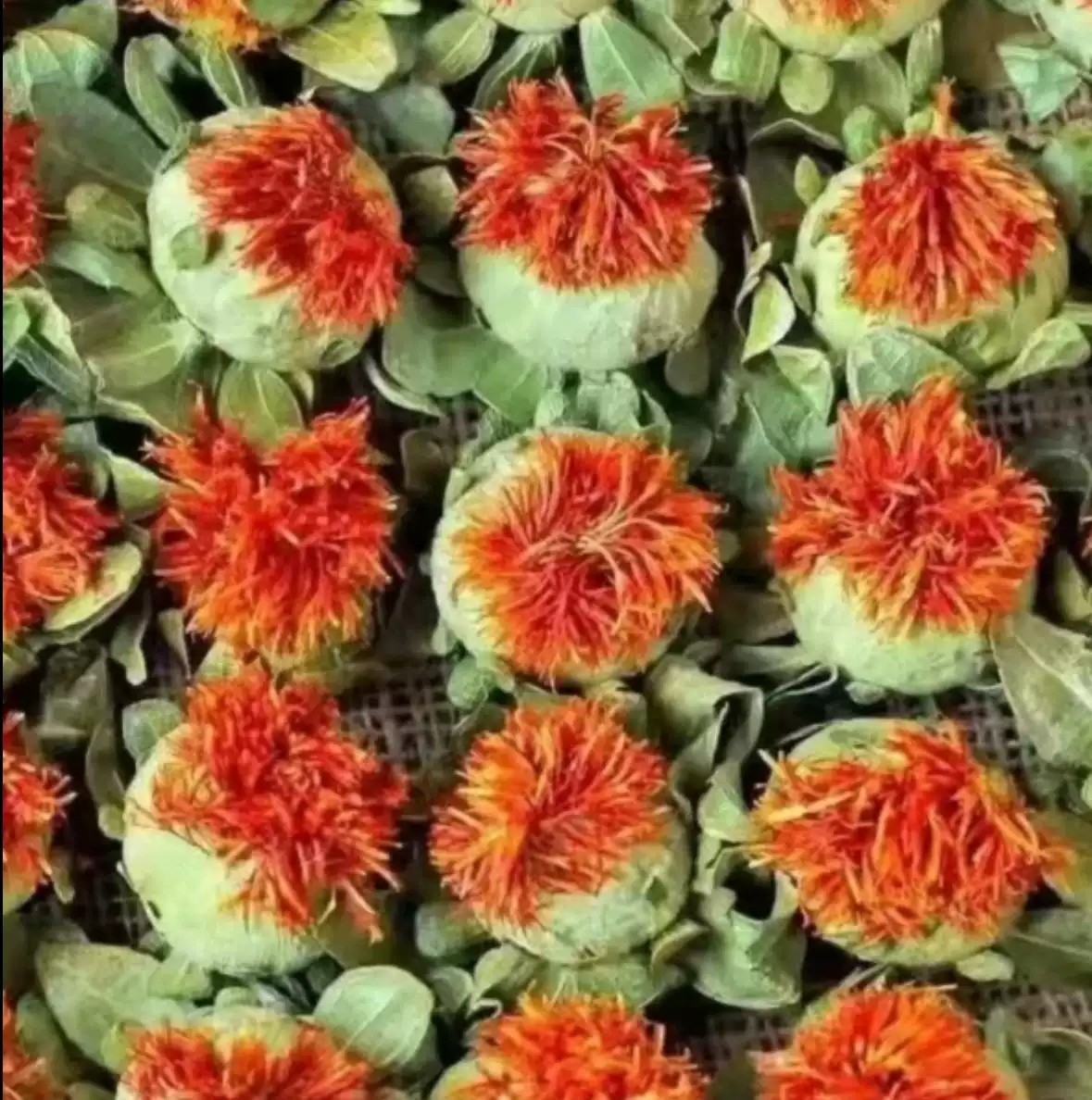小花家专属高海拔山货【帝王花】泡水泡酒煲汤