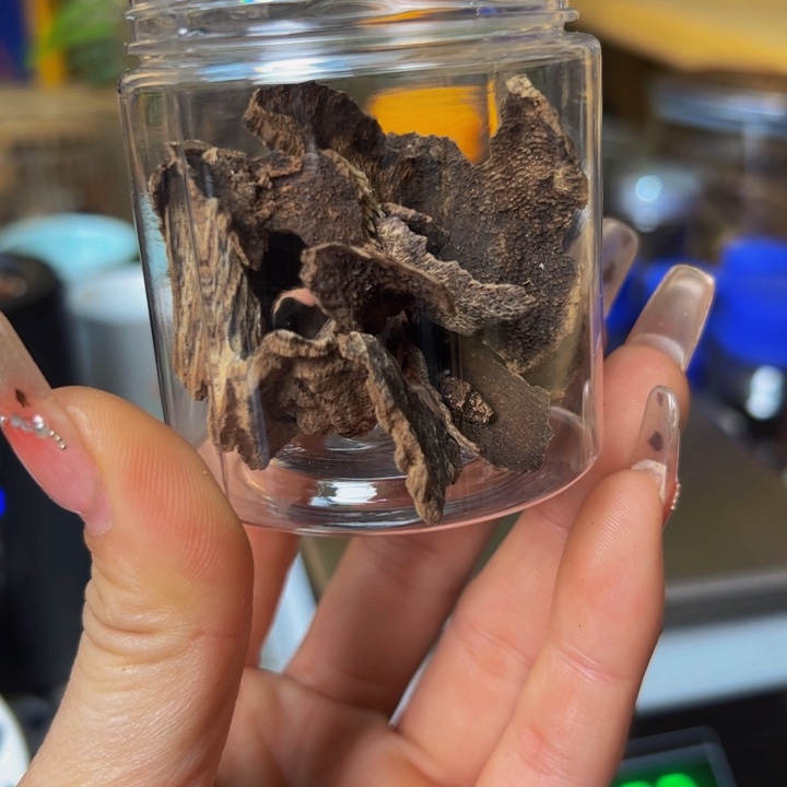 沉香沉香碎屑海南野生沉香虫漏老料10克