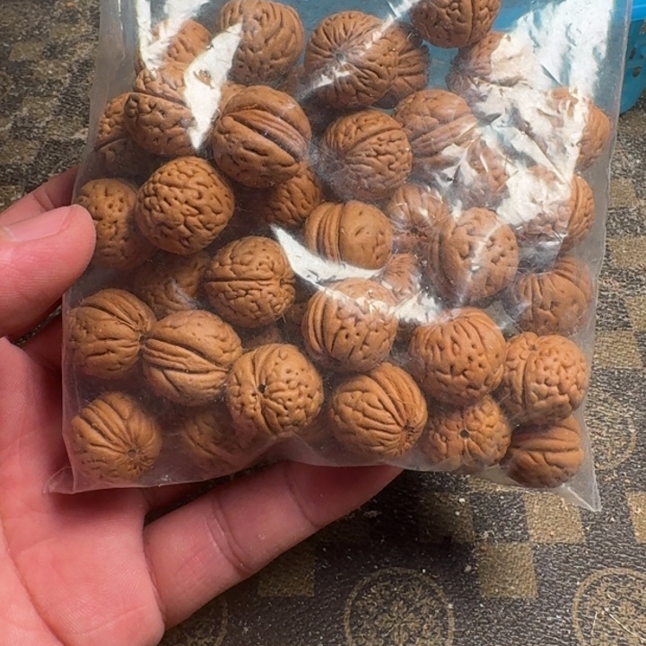 嫂***哥桃核吊坠6666666666