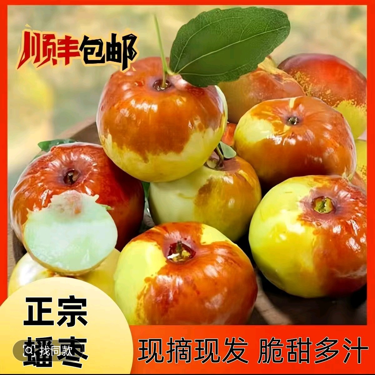 新疆和田沙漠潘枣
