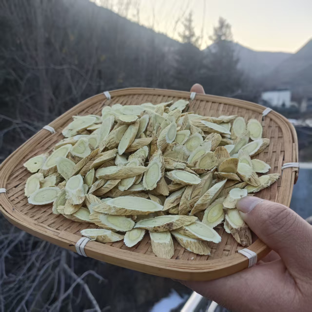 甘肃岷县无硫黄芪大片250—500克正品可泡水煲汤