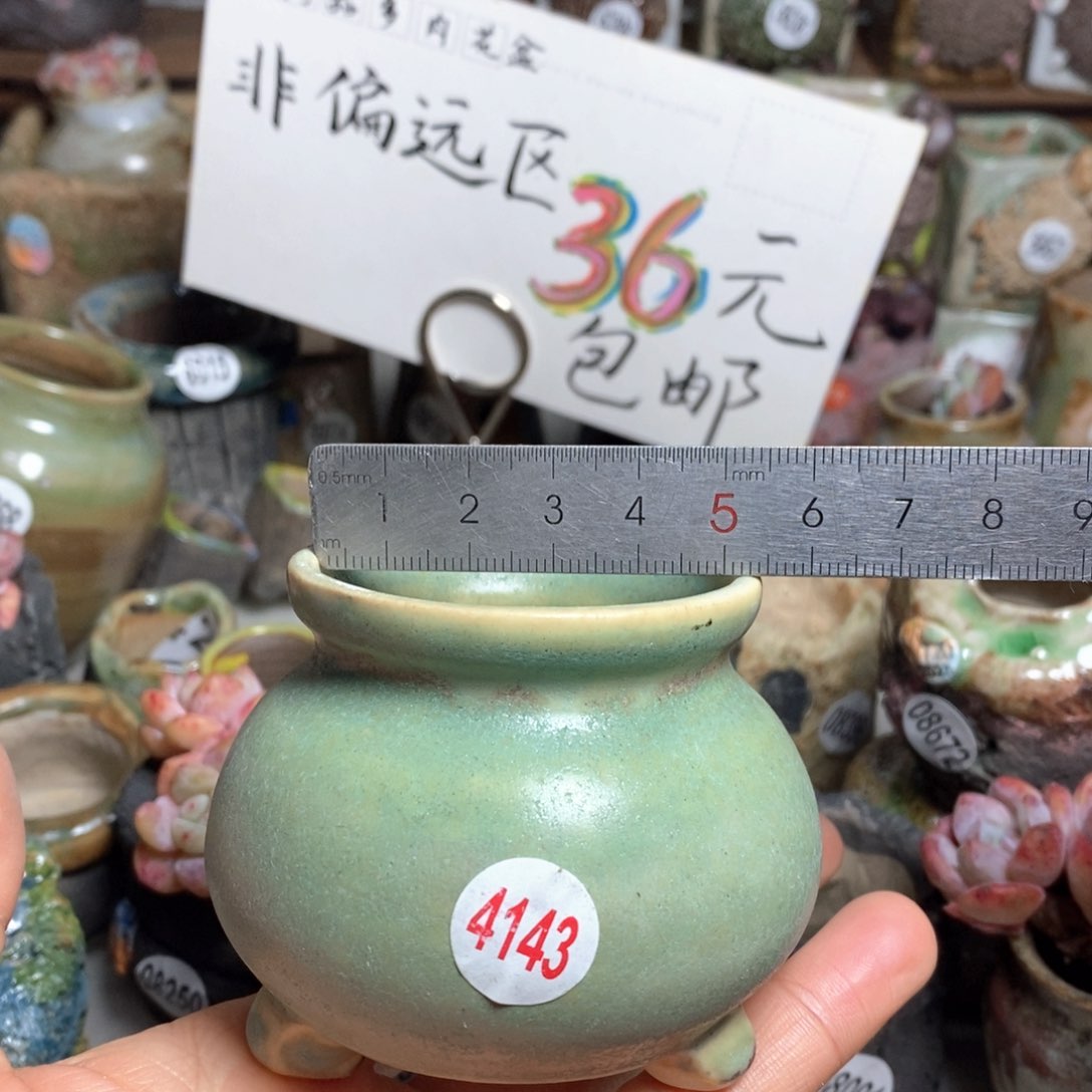 花盆拍5送一个小礼物