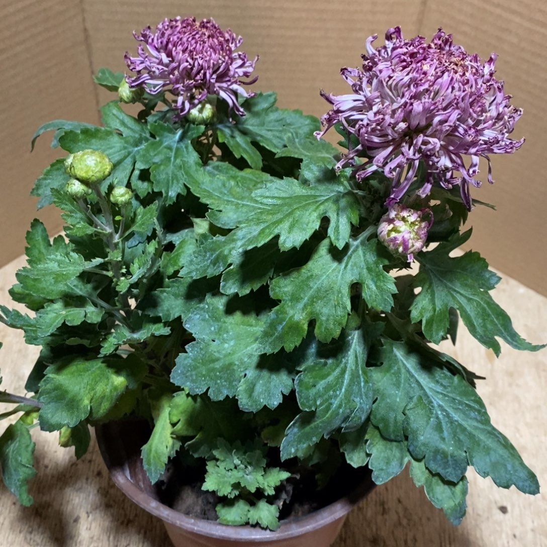 完全开放A0200000