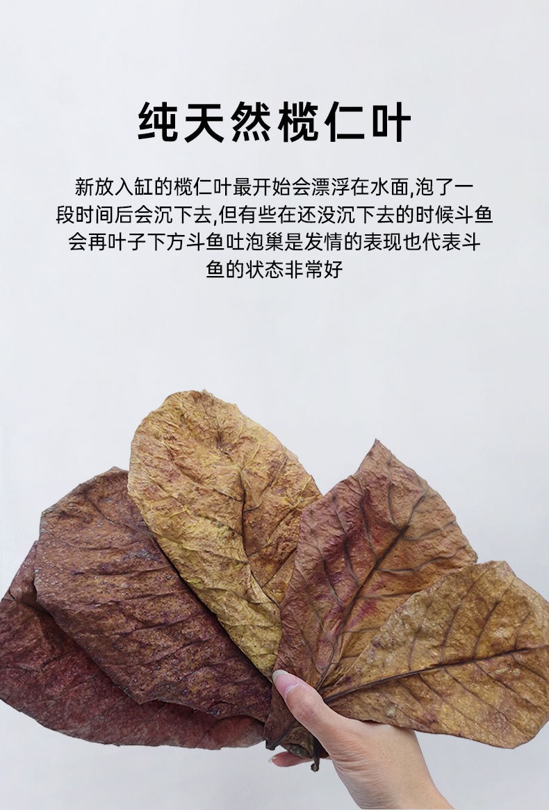 鱼缸懒人降低ph值调节剂乌龟酸斗鱼叶调节橄榄叶