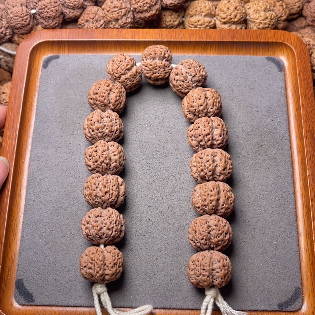 菩提籽类5号金刚菩提深沟龙骨梅花23