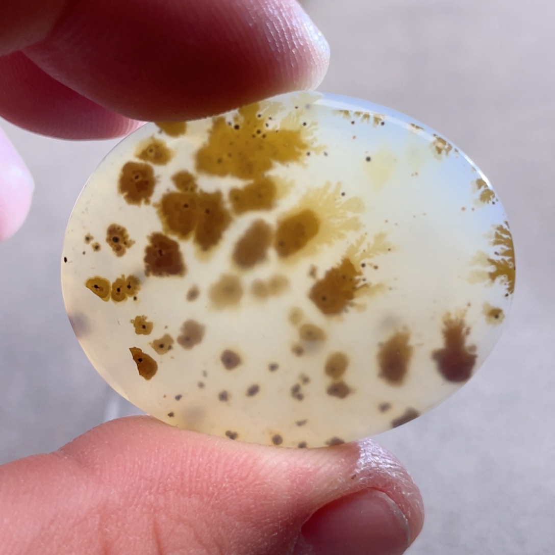 【闪购商品】玛瑙/玉髓颈饰合金