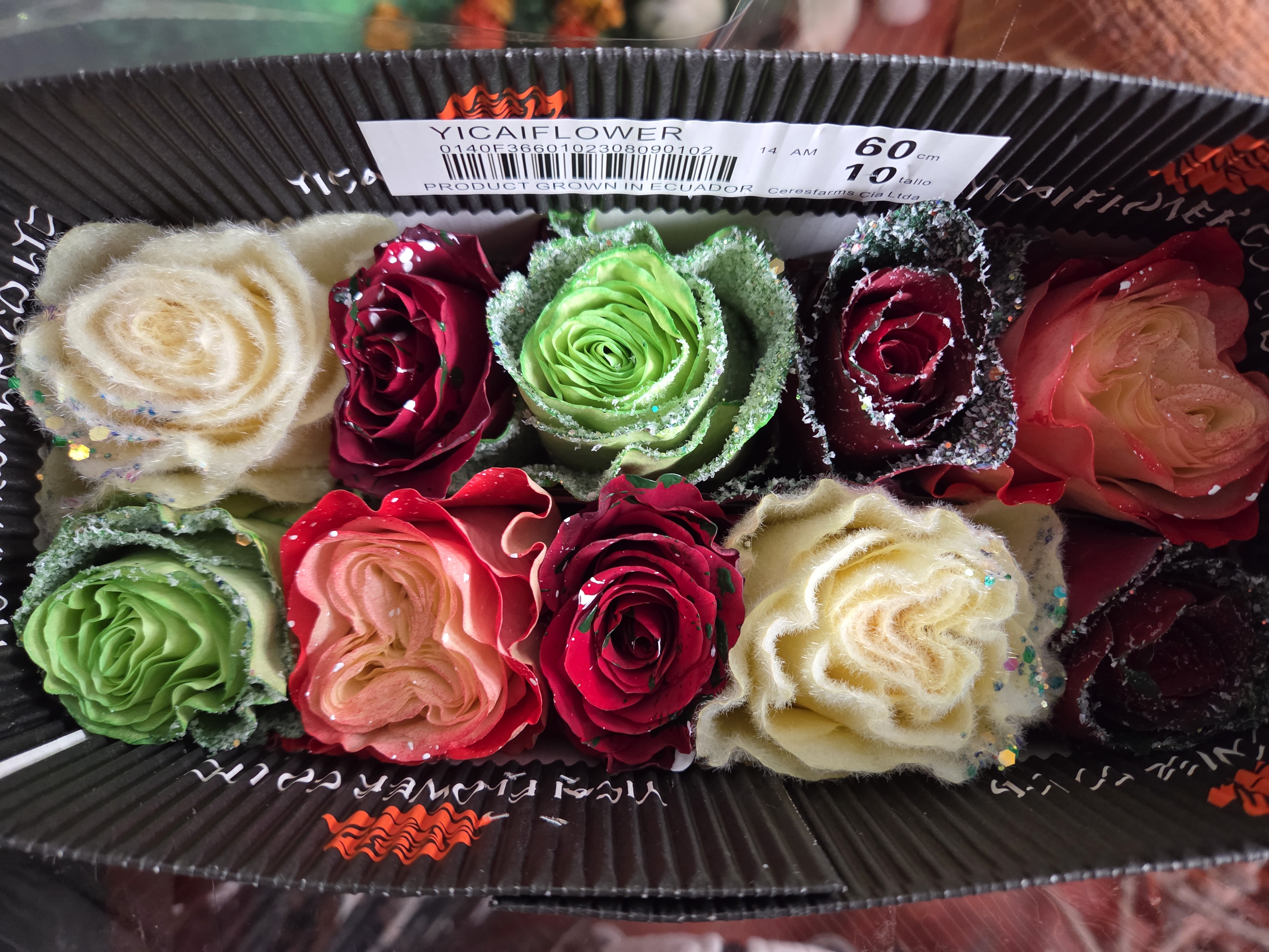 王的森林厄瓜多尔圣诞色系玫瑰A级高端云南鲜花包邮