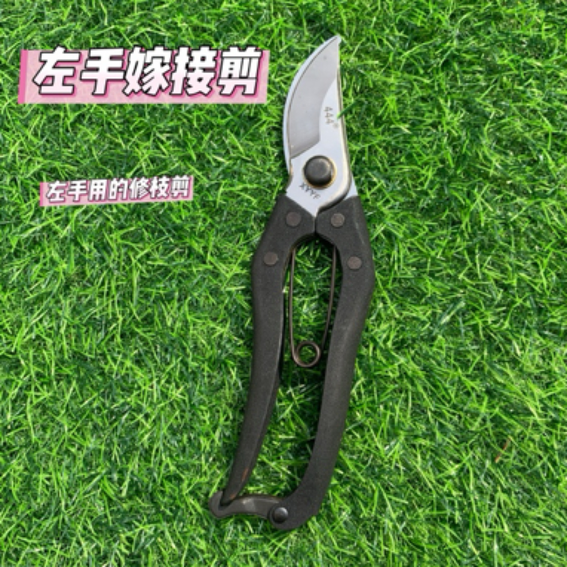 左手剪刀用的嫁接工具拐弯修剪树枝剪树枝修枝剪左撇子修枝剪