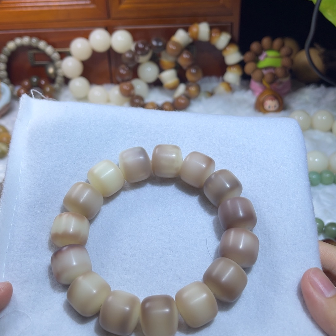 吊坠菩提根/象牙果卡18正桶全品