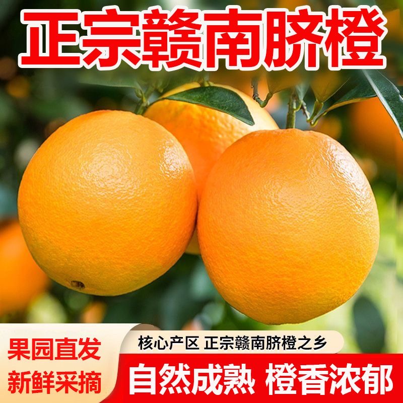 S【个小多汁】正宗赣南脐橙现摘现发香甜爆汁果园直发送剥橙器