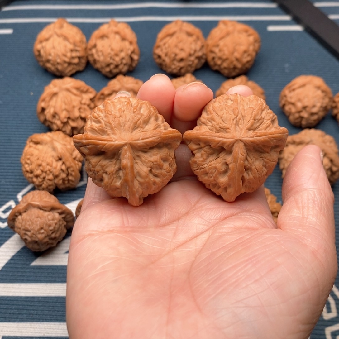 手串/手链橄榄核雪狮41