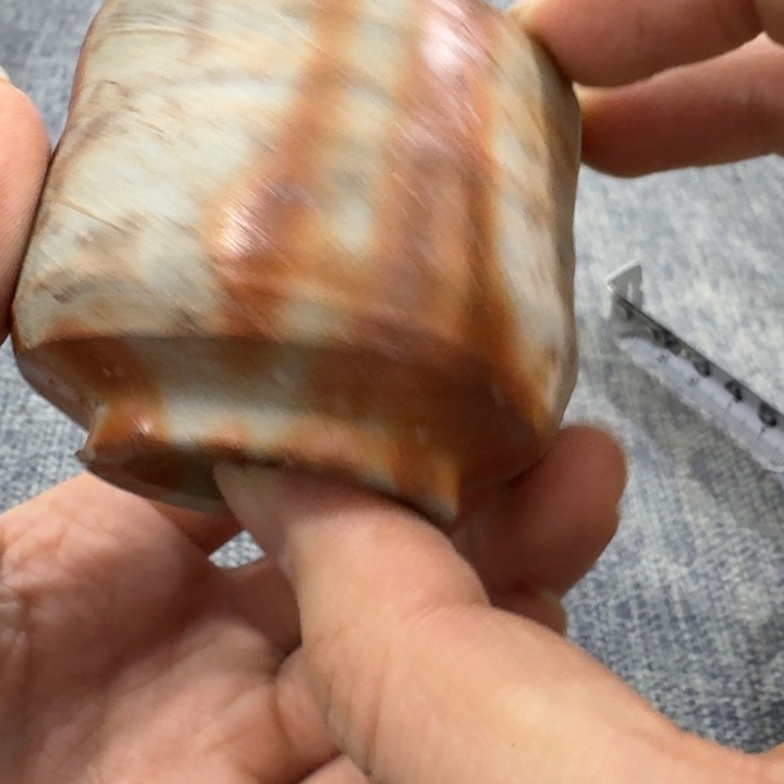 非常美丽漂亮的物品
