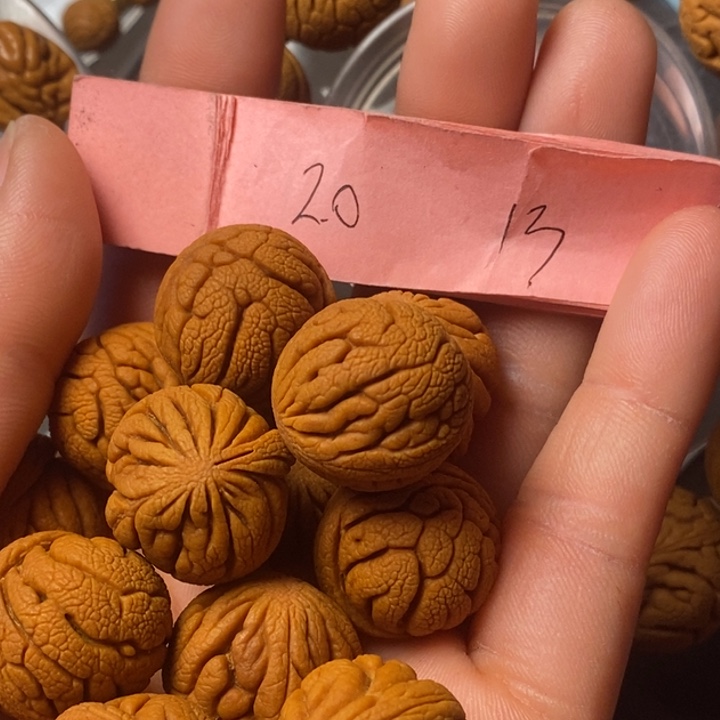 吊坠桃核陕西国庆桃核