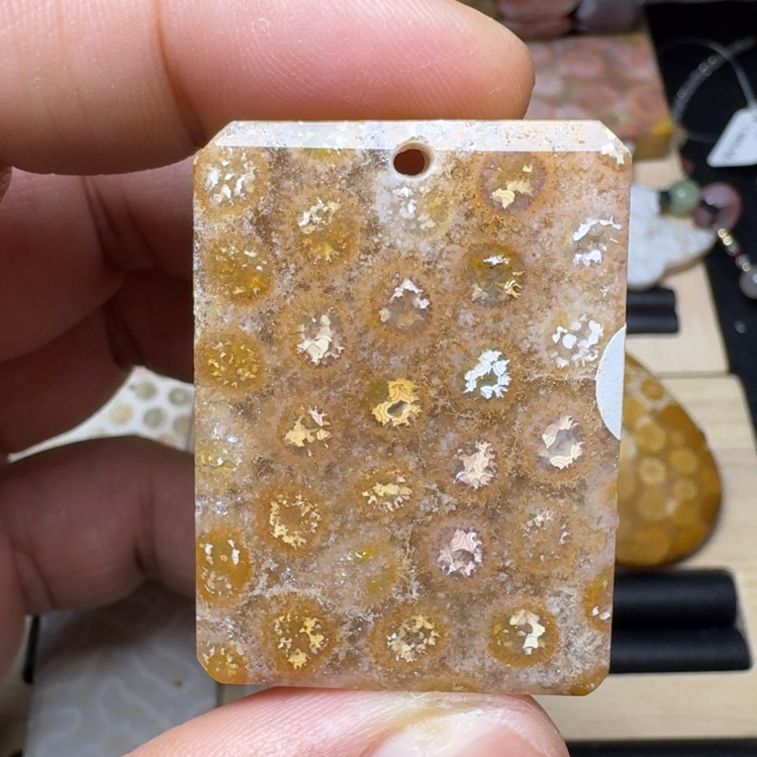 未镶嵌纯天然色有机玉石保真色硅化玉