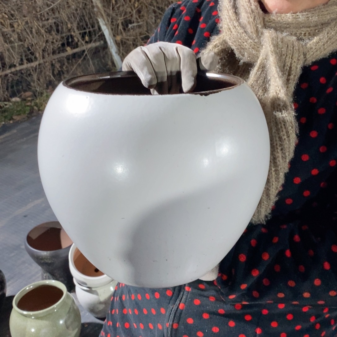 红陶口20高22～～～