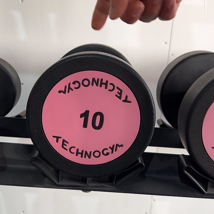 全新纯钢泰诺哑铃10公斤一对粉色