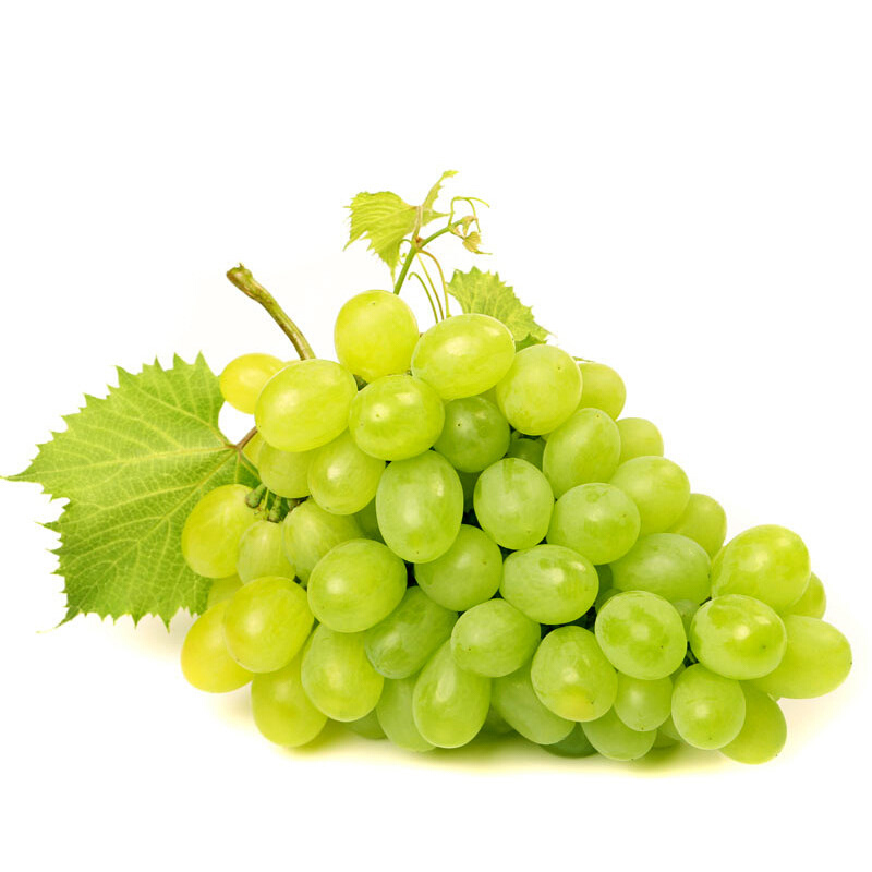 【次日达】新疆无核白葡萄无籽提子装新鲜当季水果香甜多汁坏果包赔新疆维吾尔自治区新疆维吾尔自治区