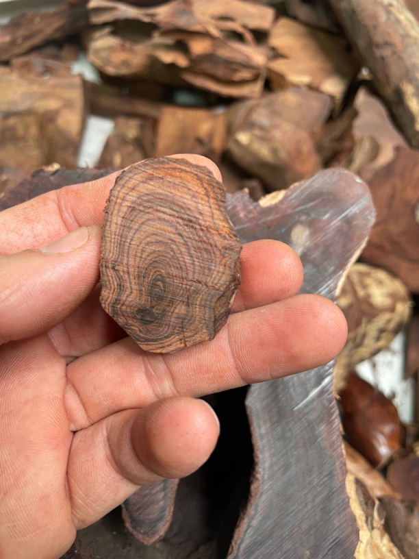 海南黄花梨禾府工匠私人定制