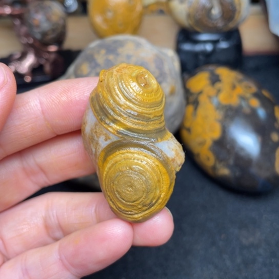 石材纯天然奇石原石76