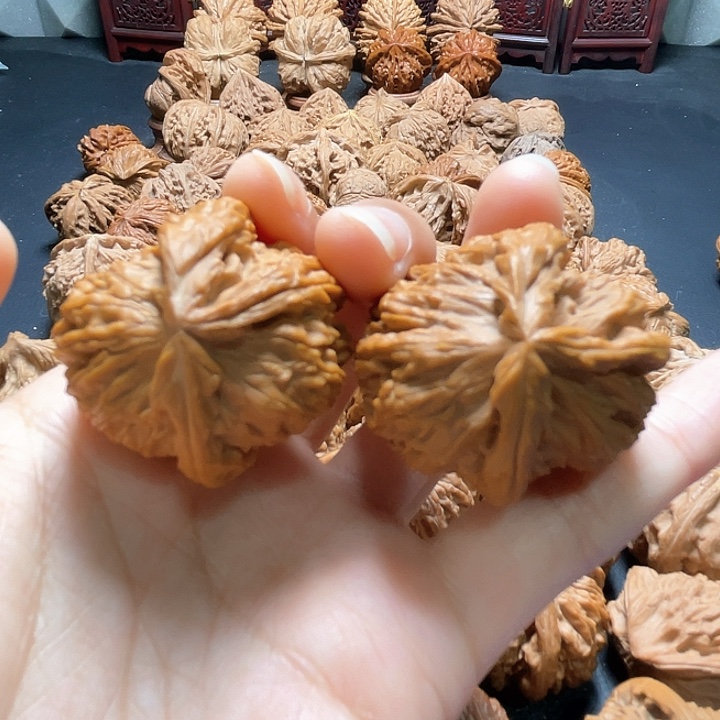 全品白狮子两棱挂角34尺寸核桃哈哈哈哈哈哈