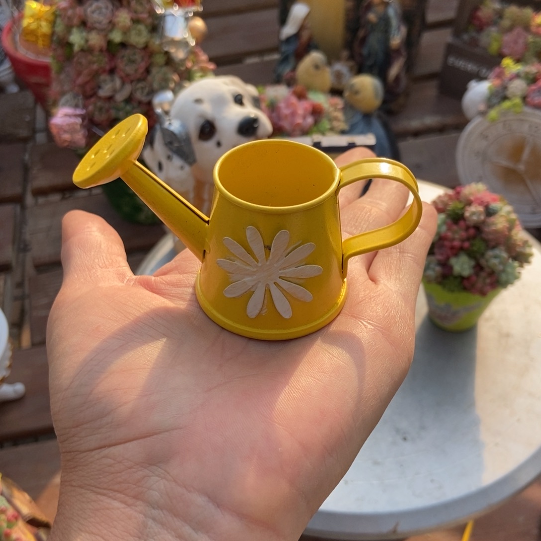 水壶种好发货好看的