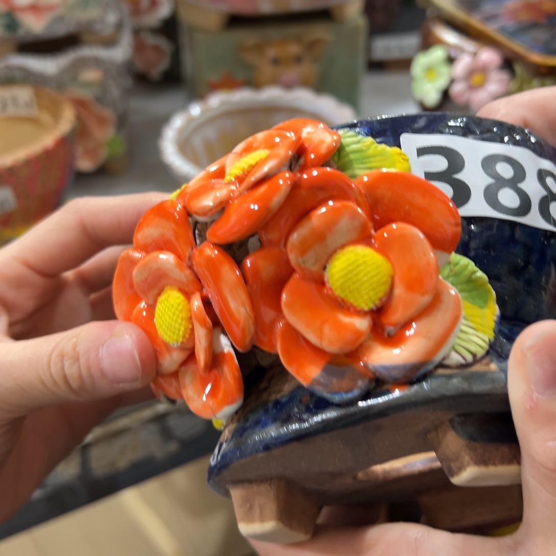 388瑕疵满20米秒退拉黑花盆