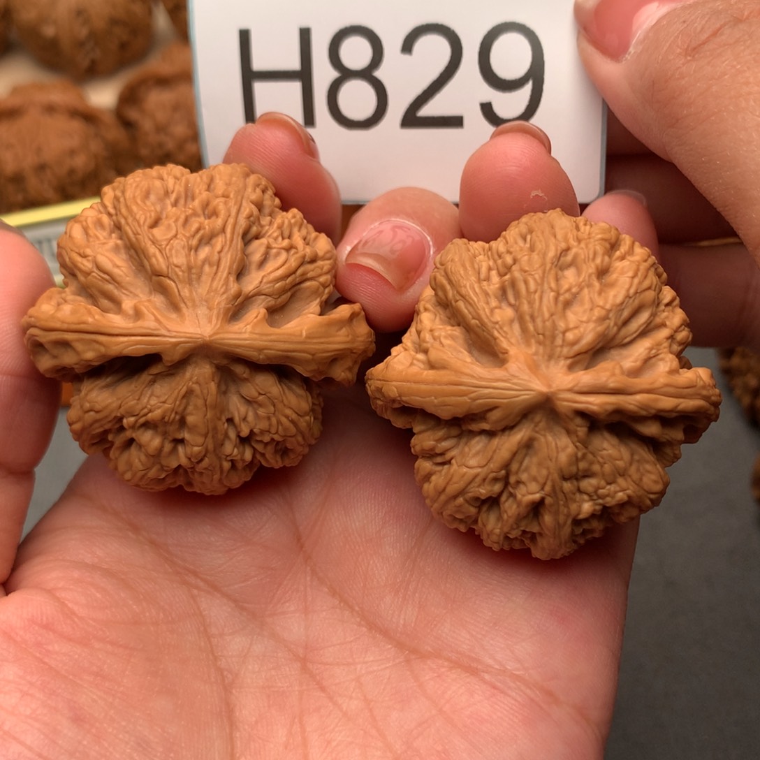 文玩核桃把件44大粗筋