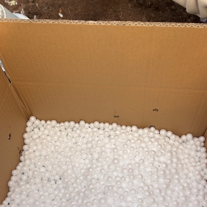 笑***笑云南多肉瑕疵奶酪不售后