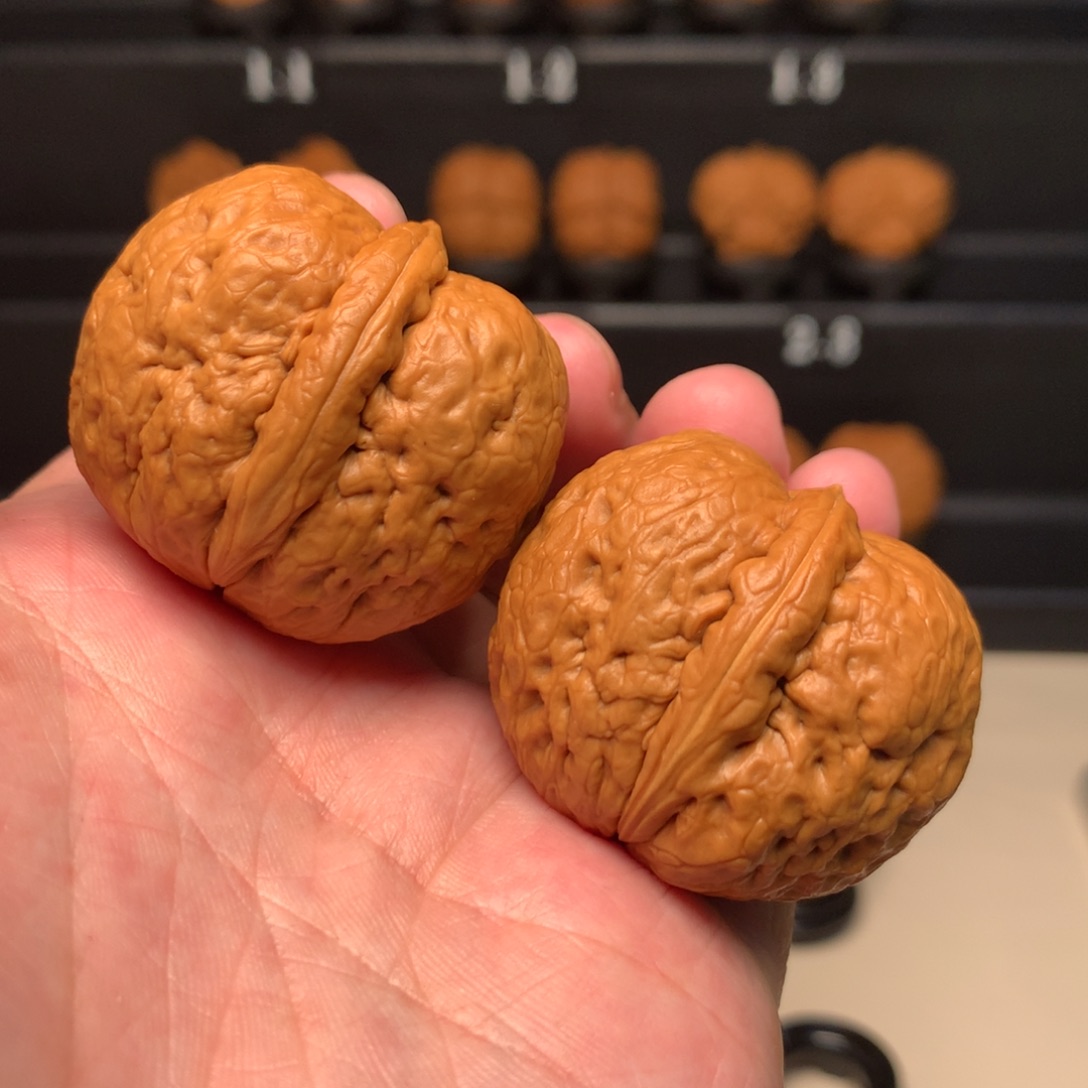 文玩核桃把件树*炸二元宝