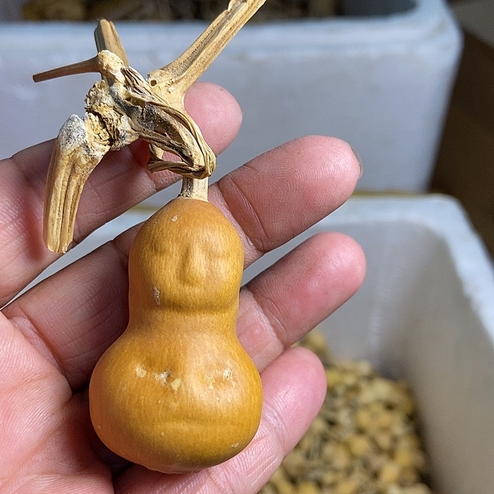 苏***Fghhsjsjsjssss