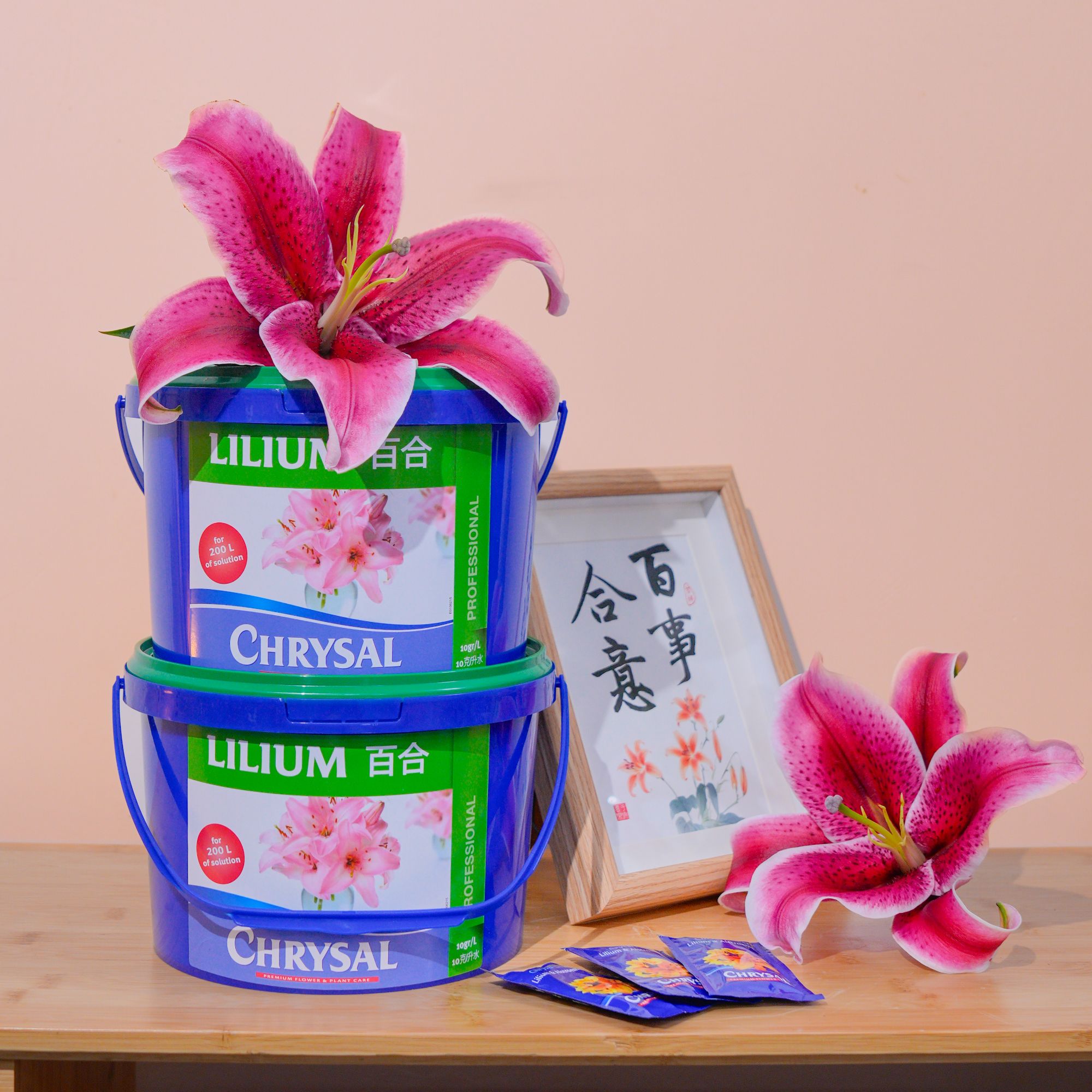 云南木木花卉百合伴侣 可利鲜通用型延长花期荷兰进口2kg/10g