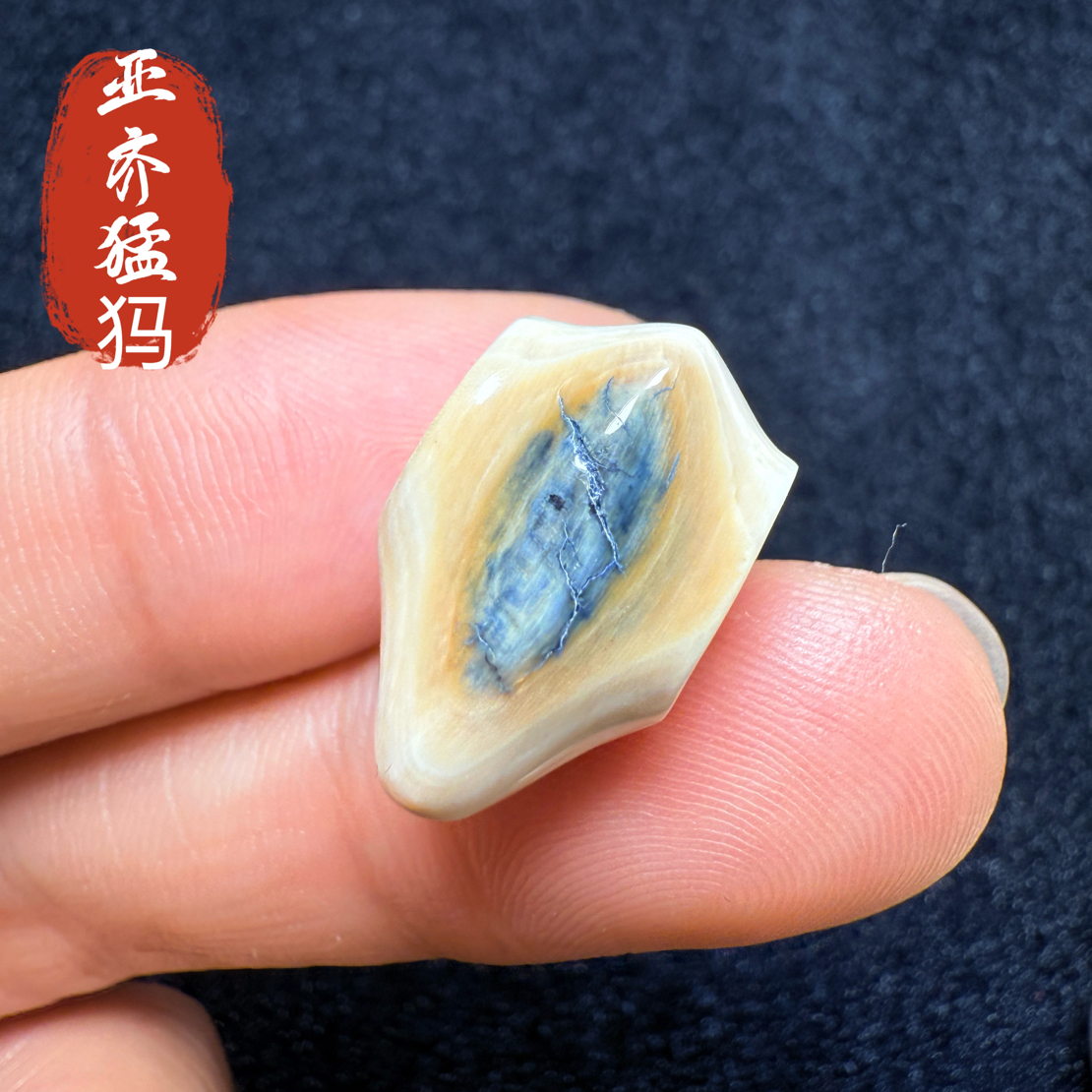 Y54猛犸象牙冰料蓝皮蓝眼睛鲨鱼背三通11.2*11.6*18.4