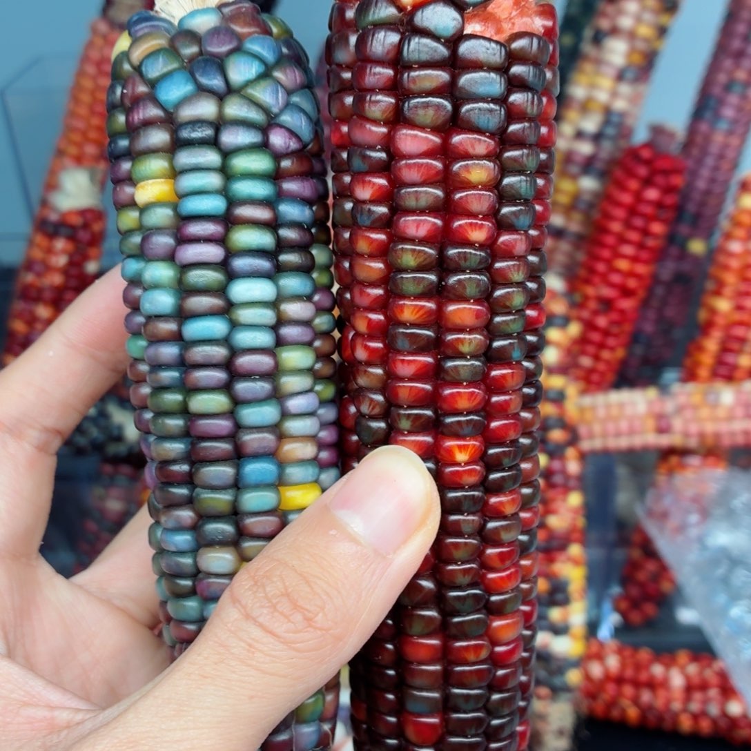 长***星吊坠白玉菩提文玩精品文玩精品