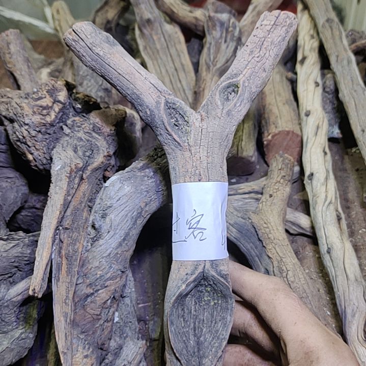 过***客火琉璃原杈不保沉水慎拍！