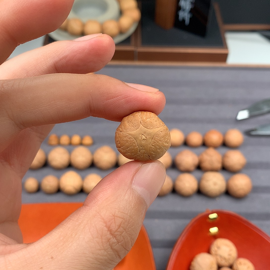 手串凤眼菩提19+五星，非质量问题开孔不退
