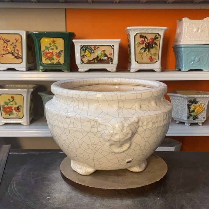 红陶宏***源花盆里的小猫咪