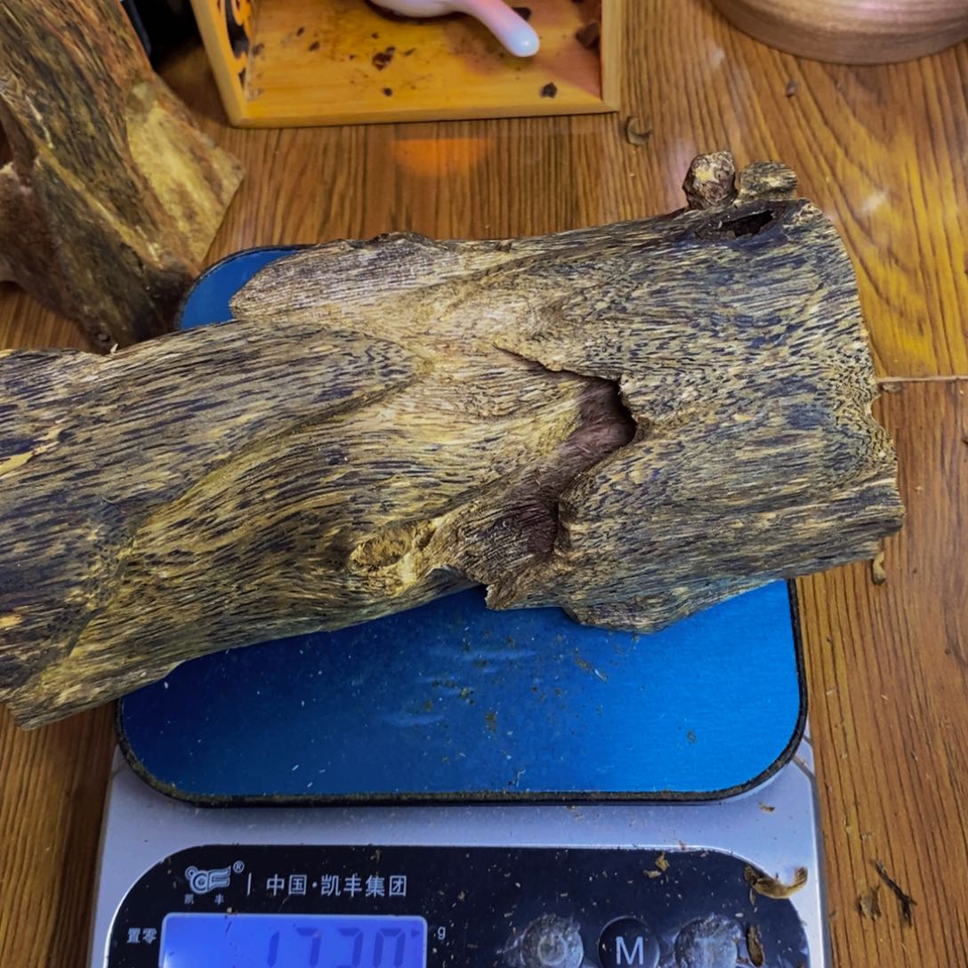 飞***师沉香碎屑沉香棋楠母树虫漏172克