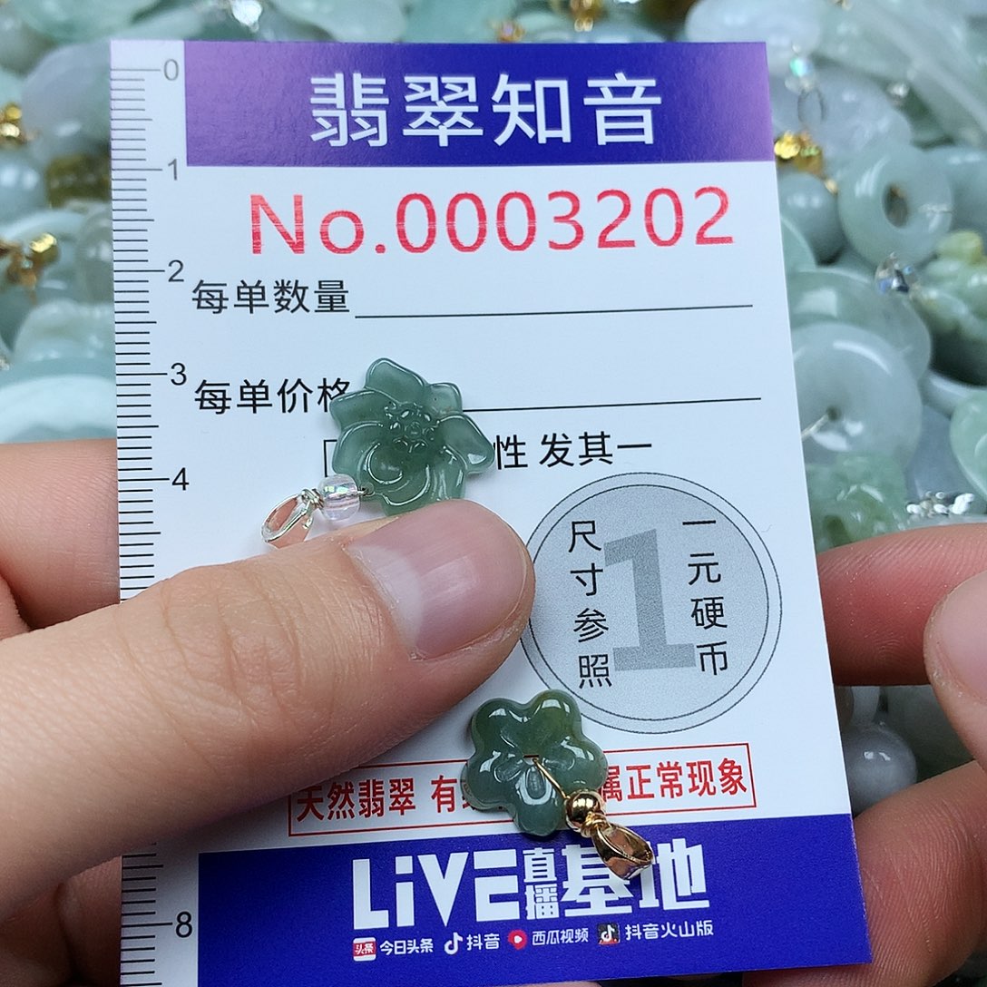 翡翠未镶嵌颈饰3202