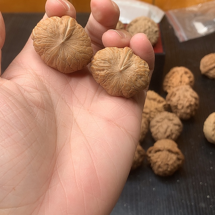 文玩核桃吊坠35一根筋