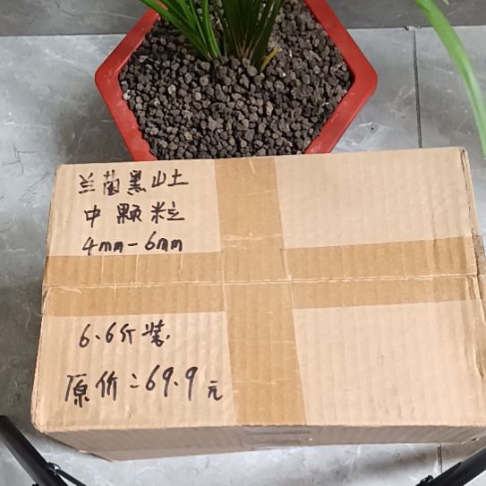 四***十兰菌黑山土中颗粒6.6斤