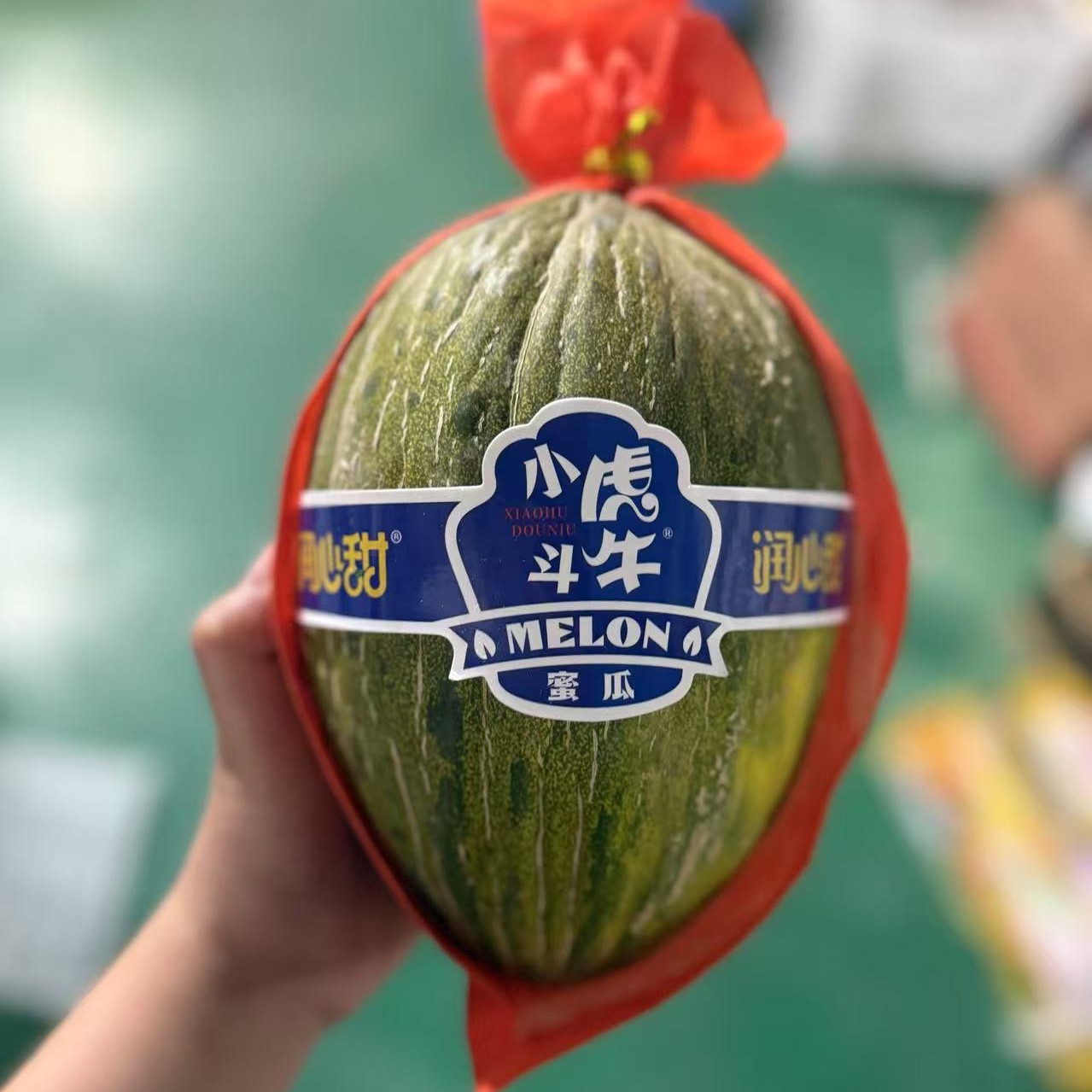 斗牛瓜一颗