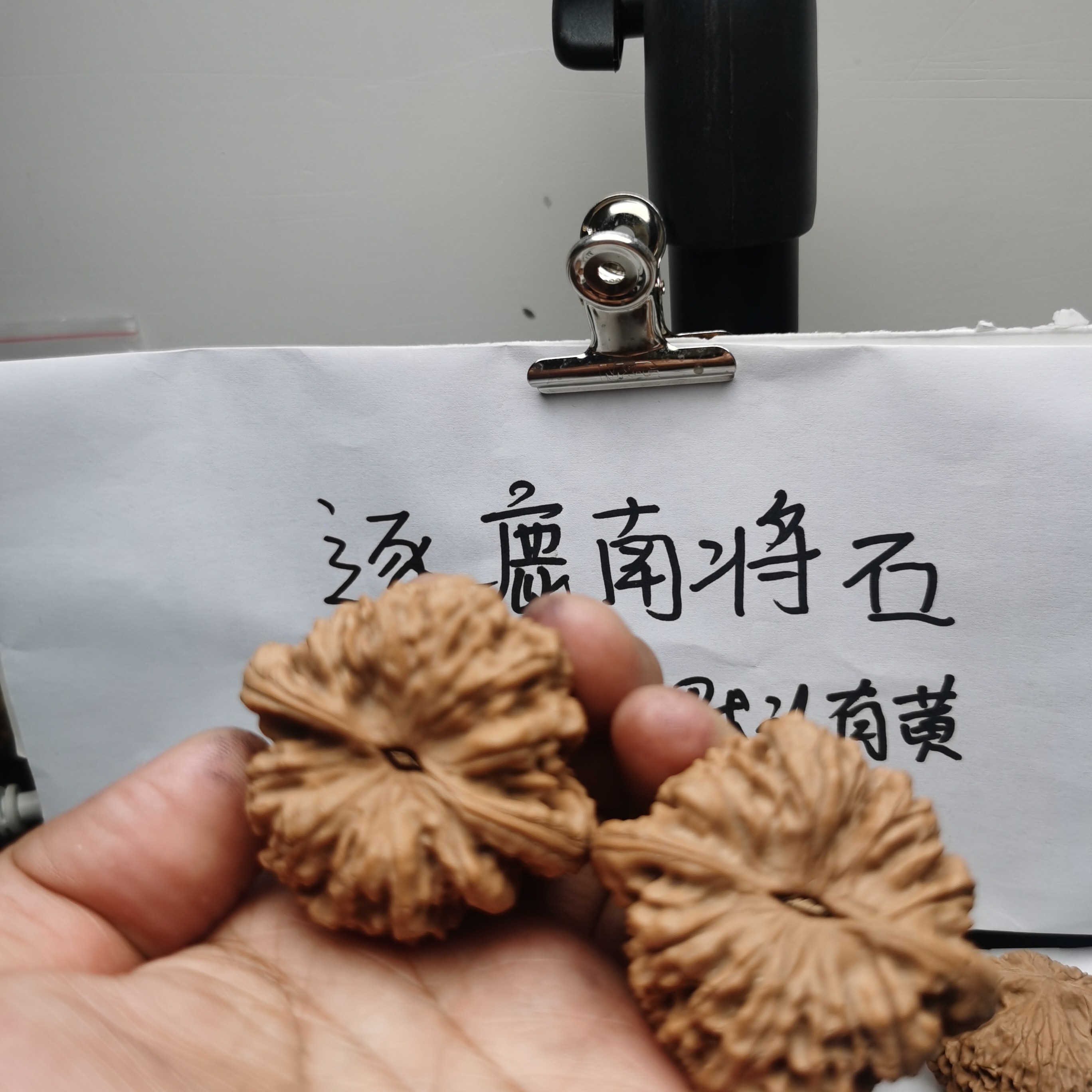 10号，南将石，官帽边51.肚45.，高47