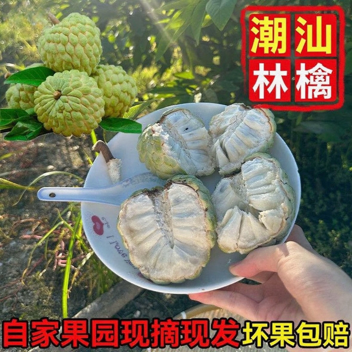 新鲜当季水果牛奶释迦果番荔枝香甜潮汕现摘现发释迦林檎果潮汕