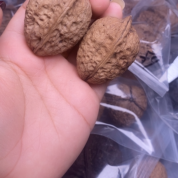 文玩核桃吊坠     10h