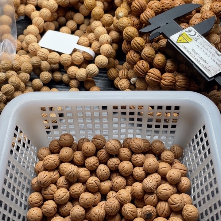 大***.手串/手链核桃散籽批发小桃I核150