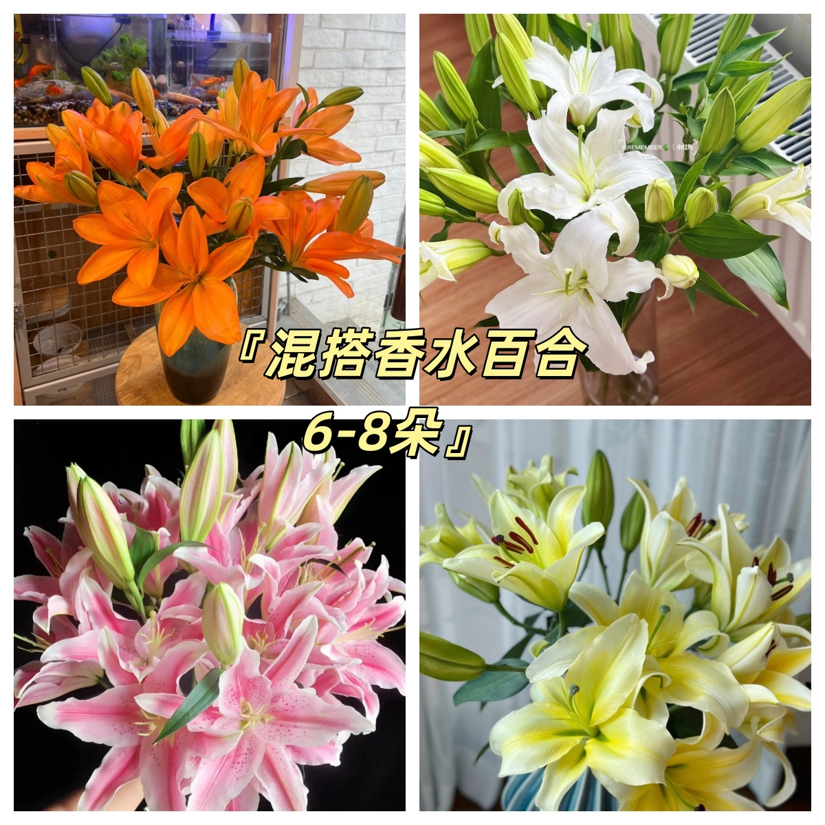 特价『混搭香水百合6-8朵』不少于2枝  花苞发货 云南鲜切花 满两单鲜花顺丰京东送货上门 满三单鲜花送花瓶