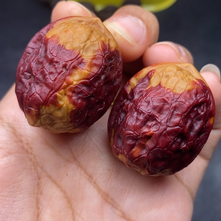 吊坠文玩核桃37尺金龟玉甲