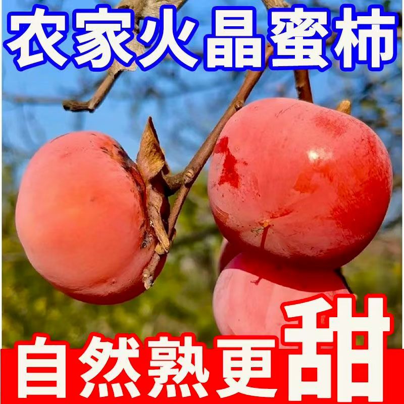 陕西火晶柿子现摘新鲜水果成熟香甜软嫩流蜜